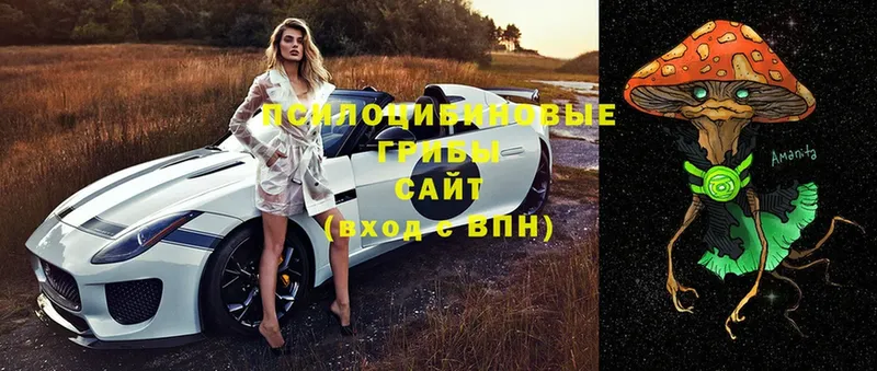 где купить   Железногорск-Илимский  shop какой сайт  Галлюциногенные грибы MAGIC MUSHROOMS 